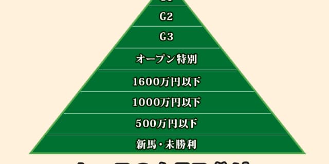 2019年夏の降級制度廃止に伴い、競走条件の呼称変更