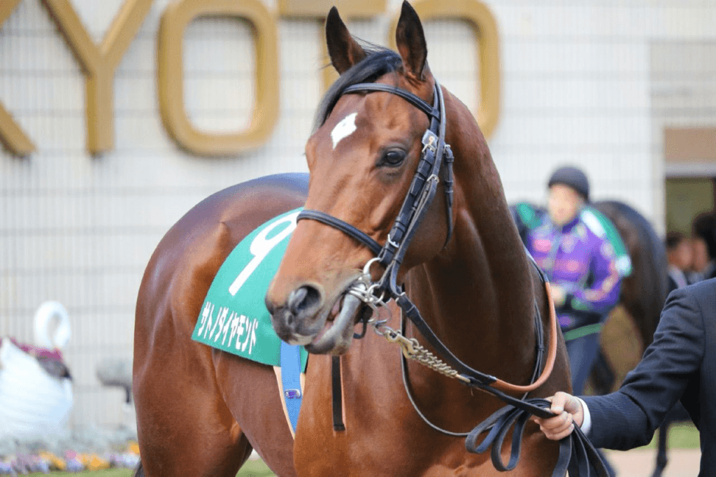 【有馬記念2018予想】サトノダイヤモンド、種牡馬入りの手土産に復活勝利を