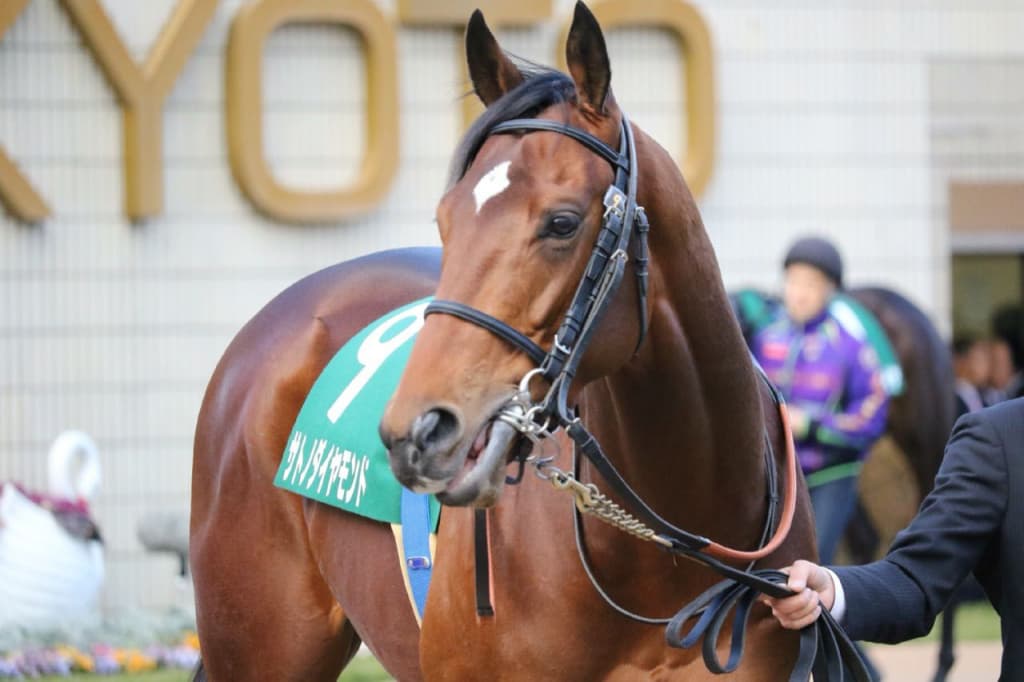 【有馬記念2018予想】サトノダイヤモンド、種牡馬入りの手土産に復活勝利を