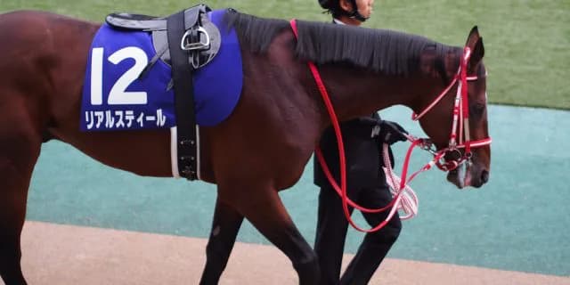 リアルスティール、引退。種牡馬へ