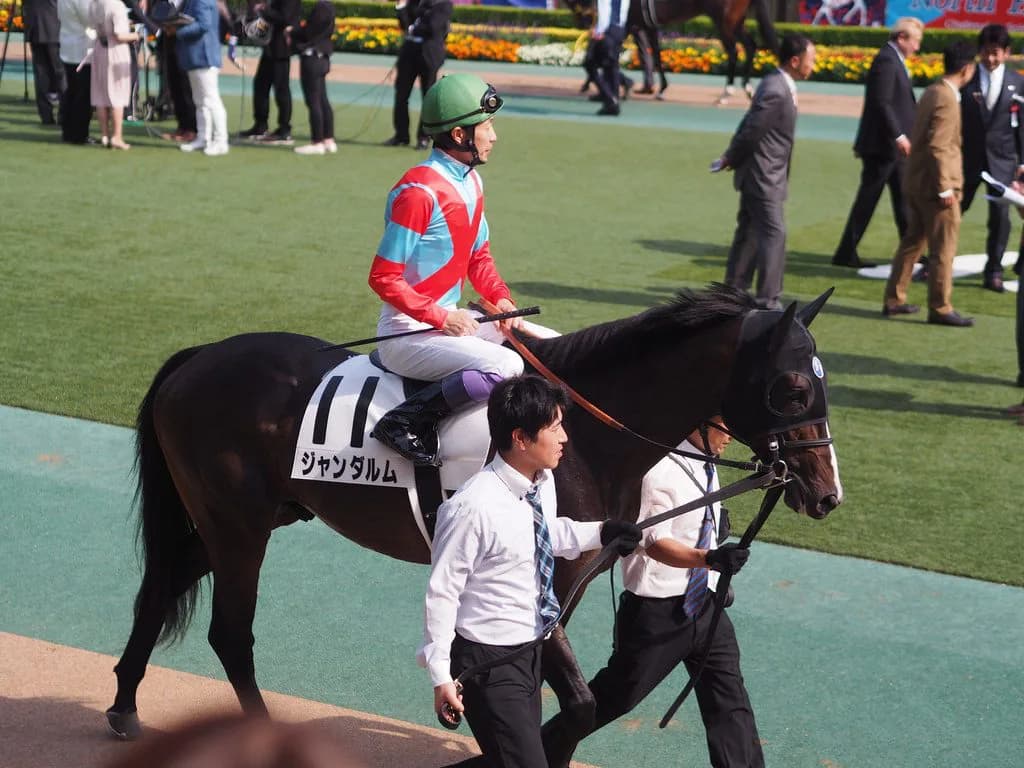 【富士S予想2019】復調気配のジャンダルム、前目の競馬を意識できれば