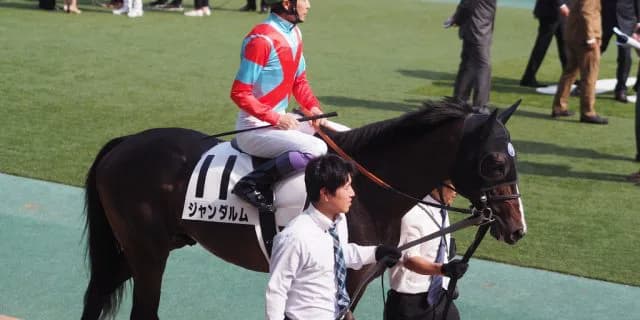 【富士S予想2018】ジャンダルム、マイルで本領発揮なるか？