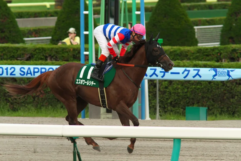 【函館2歳S予想2018】生粋のダート血統ホールドユアハンド、ルメール騎手で開花なるか