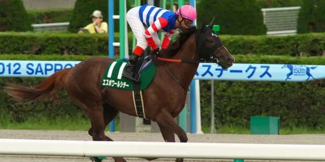 【函館2歳S予想2018】生粋のダート血統ホールドユアハンド、ルメール騎手で開花なるか