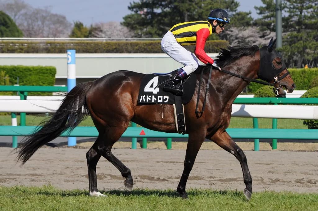 パドトロワ、産駒海外重賞初Vで飛躍の一年へ