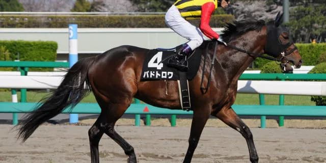 パドトロワ、産駒海外重賞初Vで飛躍の一年へ