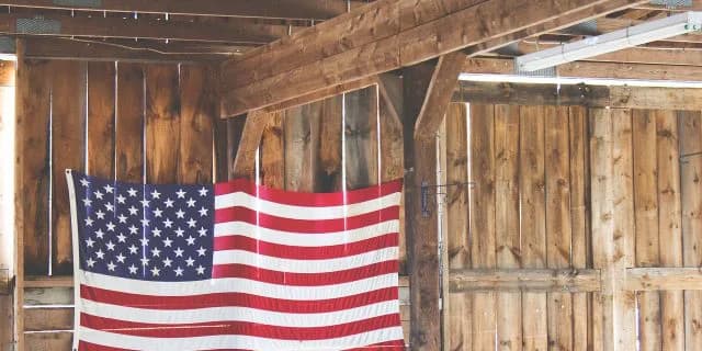 アメリカからきた種牡馬2頭、初年度から大物産駒が期待できる？