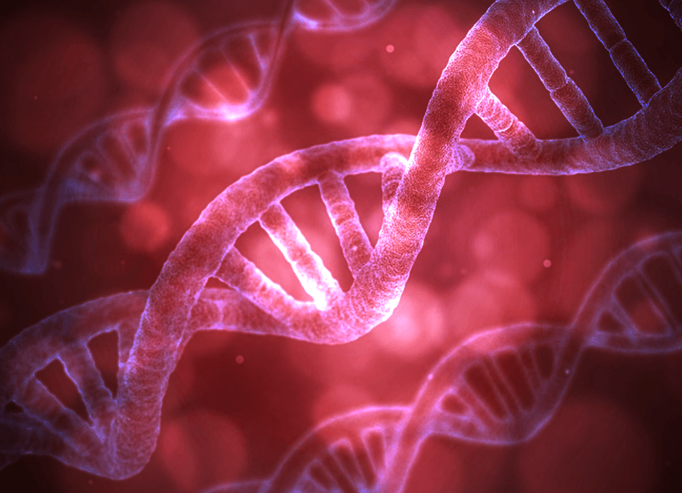 【注目新馬】日欧頂点同士の血統が黄金配合となるか？