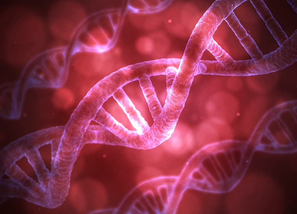 【注目新馬】日欧頂点同士の血統が黄金配合となるか？