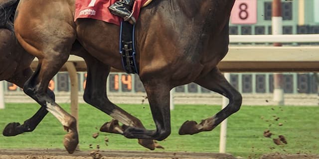 【越後S予想2018】距離・コース不問のレイダー、破竹の4連勝なるか！？