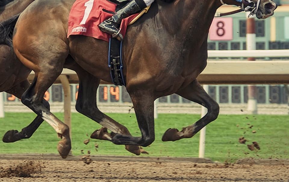 【越後S予想2018】距離・コース不問のレイダー、破竹の4連勝なるか！？