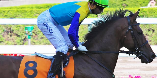 【藻岩山特別2018予想】モレイラ旋風さらに吹き荒れるか！？