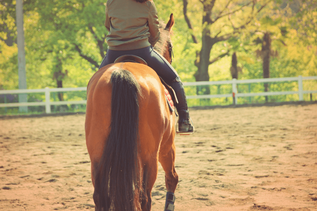 なれる、白馬の王子様！重賞勝ち馬に乗れる乗馬クラブとは？