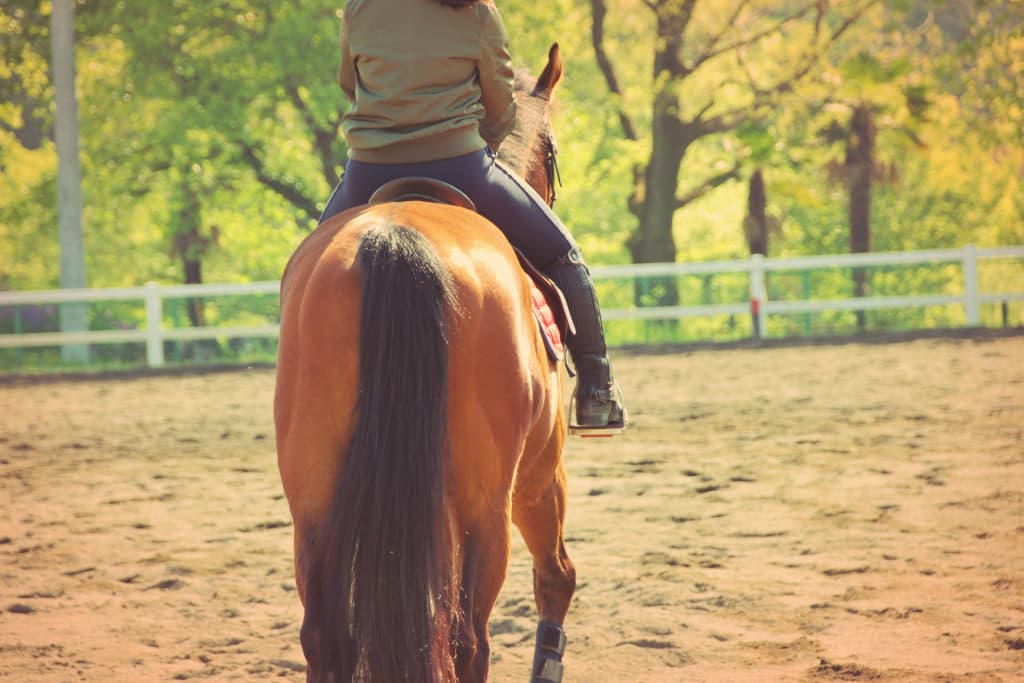 なれる、白馬の王子様！重賞勝ち馬に乗れる乗馬クラブとは？