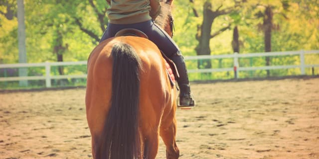 なれる、白馬の王子様！重賞勝ち馬に乗れる乗馬クラブとは？