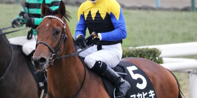 マカヒキ、ジャパンカップ回避。天皇賞秋の疲労抜けず