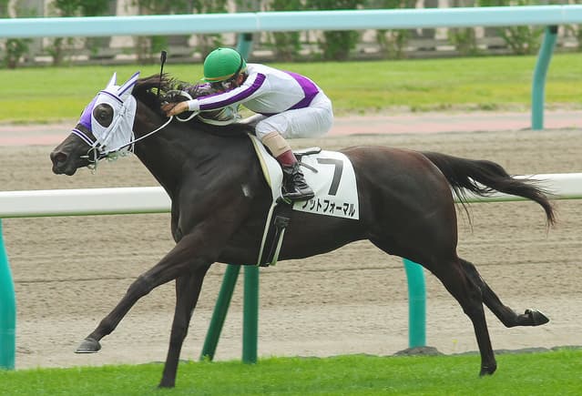 【アイビスSD予想2018】隠れた直線巧者かも？ノットフォーマル✕原田騎手、人馬一体の快進撃期待