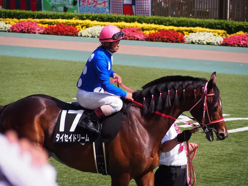 【新潟ジャンプS予想2018】タイセイドリーム、平地力が生かせる新潟はベストな舞台