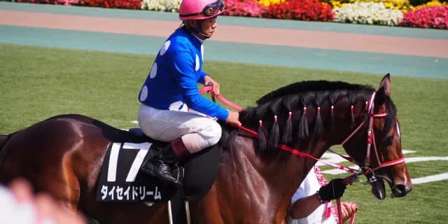 【新潟ジャンプS予想2018】タイセイドリーム、平地力が生かせる新潟はベストな舞台