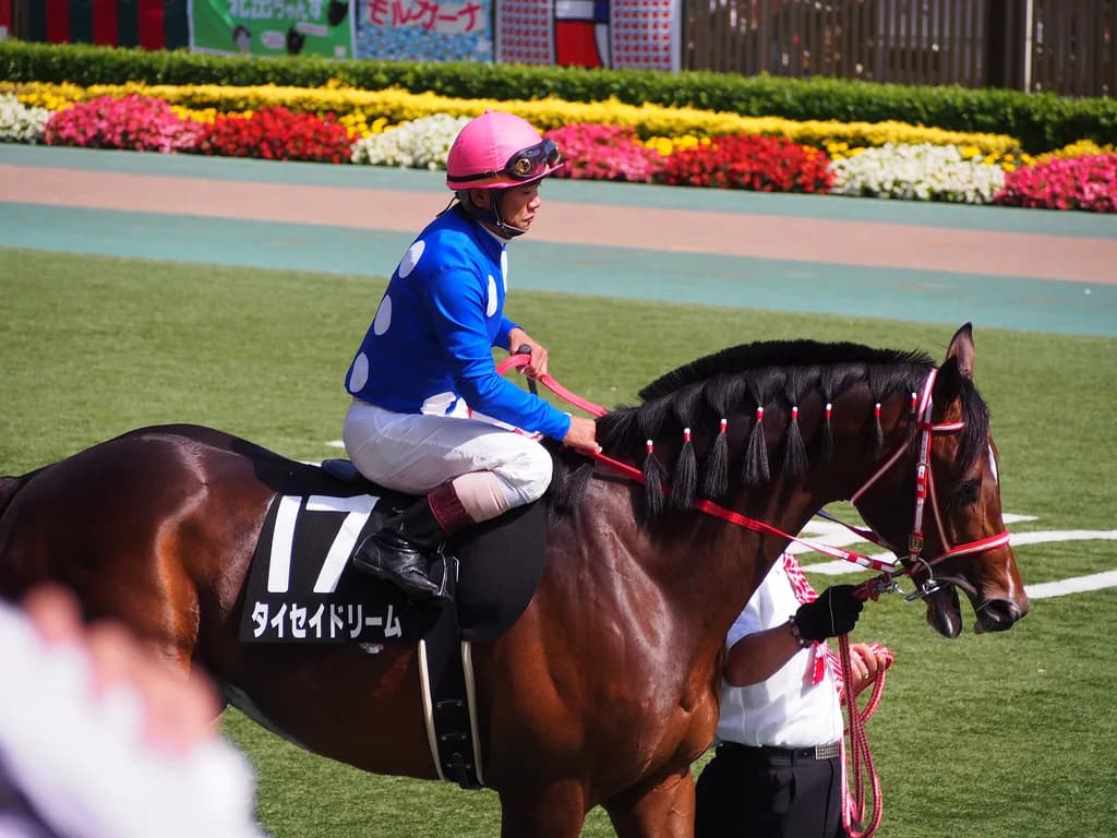 【新潟ジャンプS予想2018】タイセイドリーム、平地力が生かせる新潟はベストな舞台