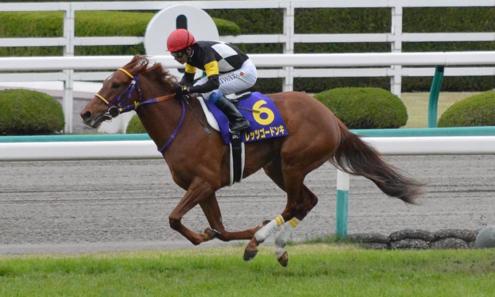 【キーンランドカップ2018予想】条件好転のレッツゴードンキに期待！
