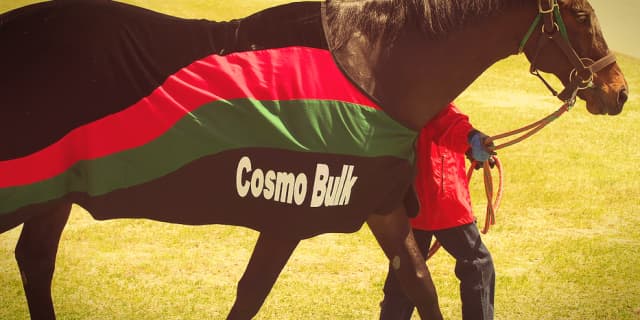 【札幌2歳S予想2018】第2のコスモバルクなるか？注目の道営馬ナイママ