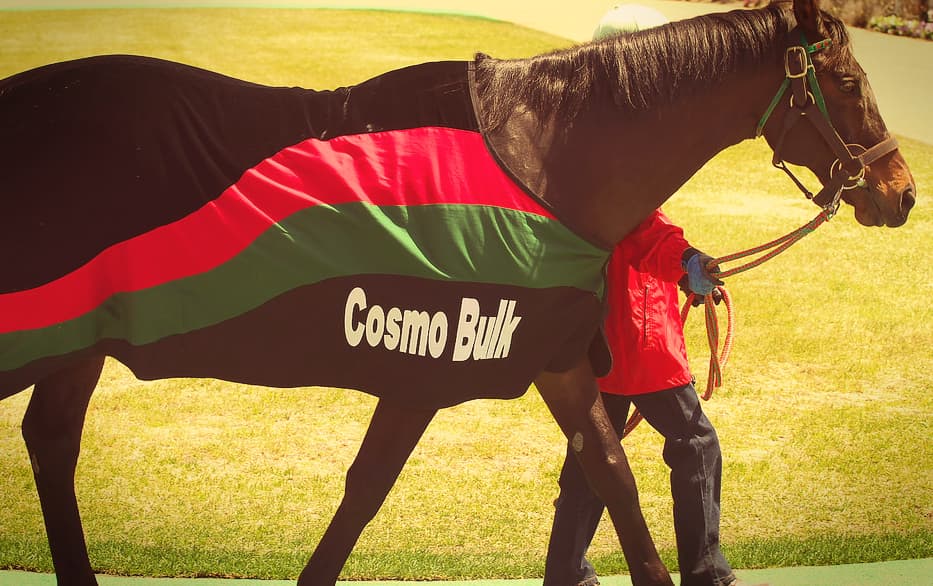 【札幌2歳S予想2018】第2のコスモバルクなるか？注目の道営馬ナイママ