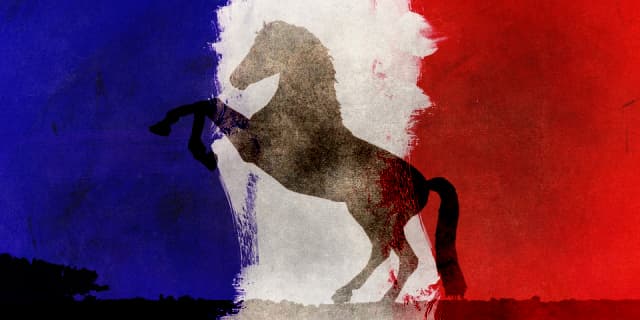 ジェニアル、引き続きフランスのレース参戦