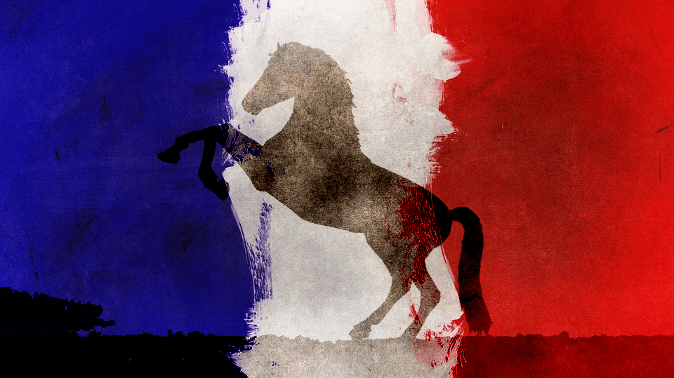 ジェニアル、引き続きフランスのレース参戦