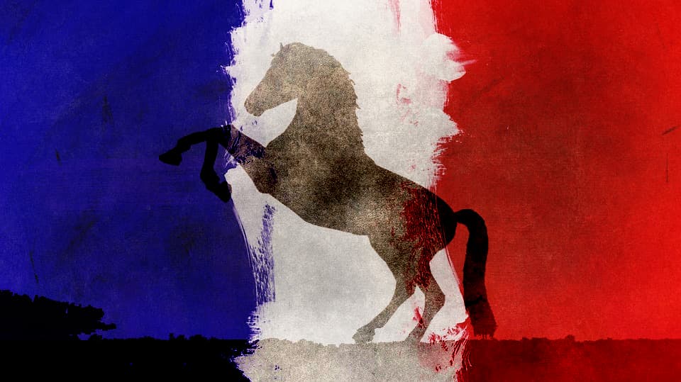 ジェニアル、引き続きフランスのレース参戦