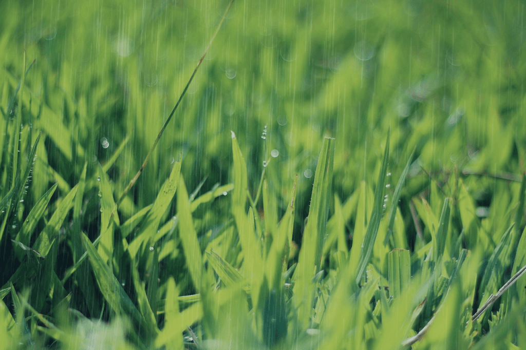 【皐月賞2019予想】雨の影響は？重馬場なら狙いたい3頭とは