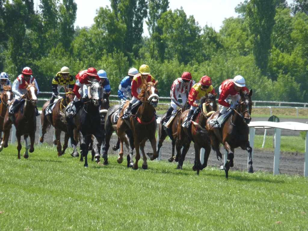 【日本海S予想2018】少頭数だがハイレベルな一戦。オープンへ駒を進めるのは？