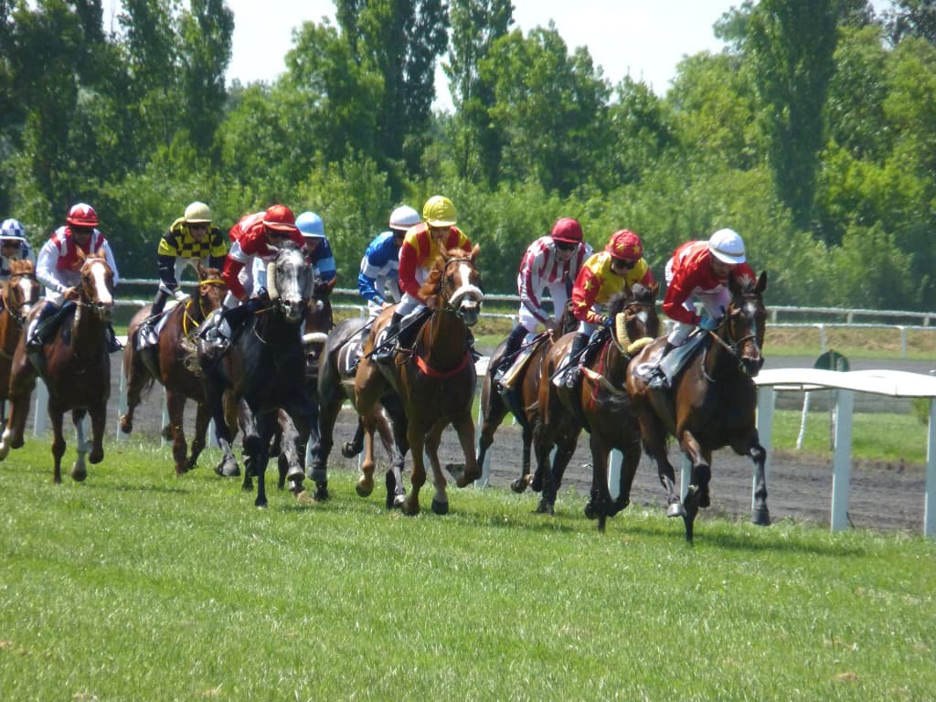 【日本海S予想2018】少頭数だがハイレベルな一戦。オープンへ駒を進めるのは？