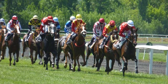 【日本海S予想2018】少頭数だがハイレベルな一戦。オープンへ駒を進めるのは？