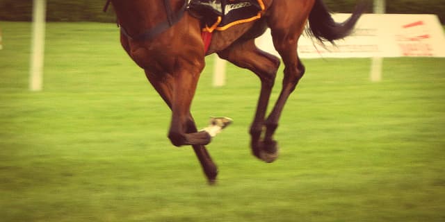 【北九州記念2018予想】ダイメイプリンセス、1200mで力を発揮できるのか？