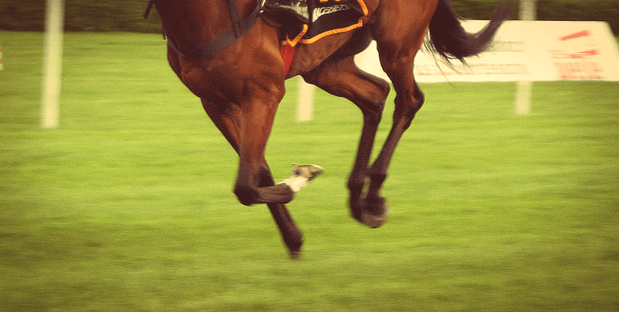 【中山牝馬S予想2019】前走大敗で馬券妙味もあるフローレスマジック、逃げ馬多数で展開も向くか？