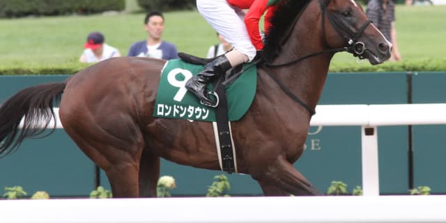 ロンドンタウン、次走は連覇のかかるコリアカップへ