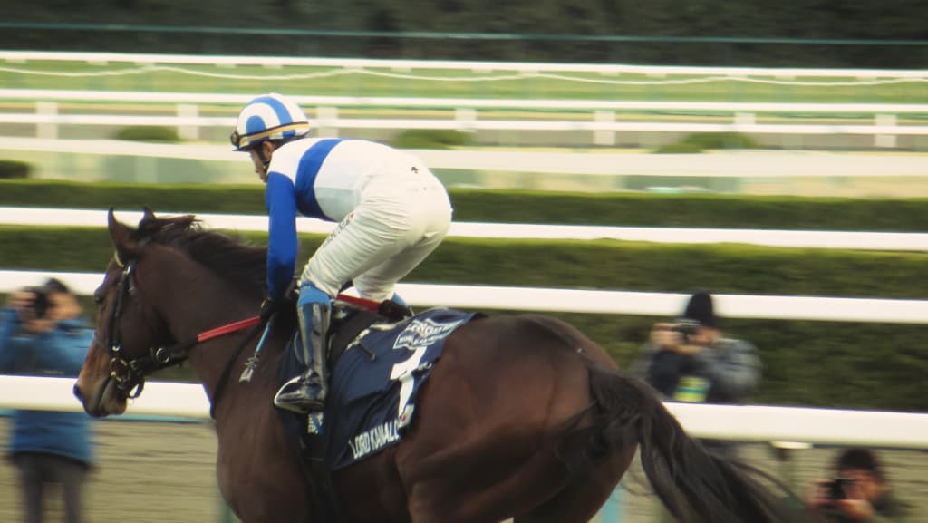 【新潟2歳S予想2018】ロードアクア、折り合いが課題も期待十分