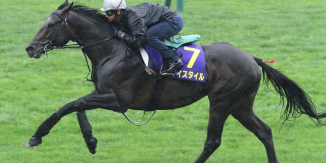 【中日新聞杯2018予想】マイスタイル、押さえは必須