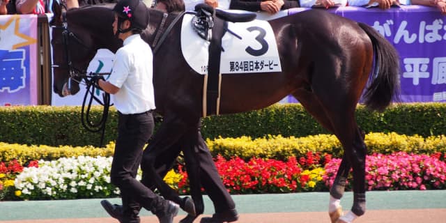 【札幌記念2018予想】逃げのスタイルを確立したマイスタイル、田中勝春騎手に久々の重賞制覇を！