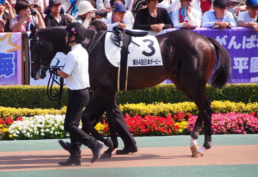 【札幌記念2018予想】逃げのスタイルを確立したマイスタイル、田中勝春騎手に久々の重賞制覇を！