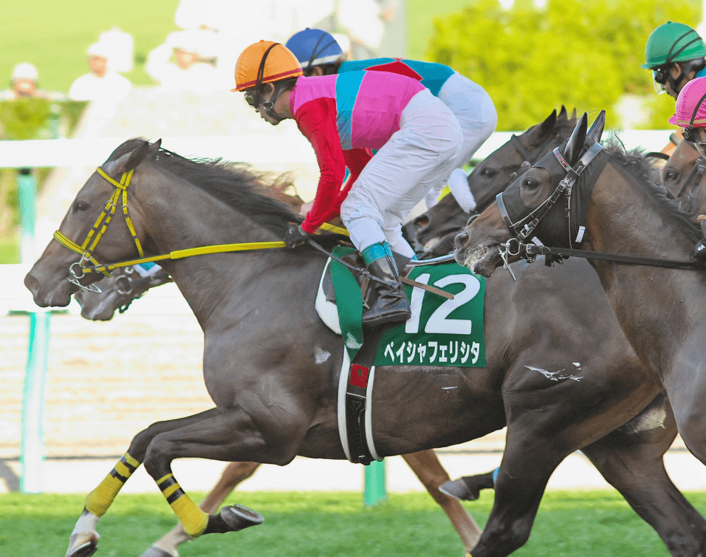 【キーンランドカップ予想2018】コース＆ローテがともに理想的な穴馬とは？