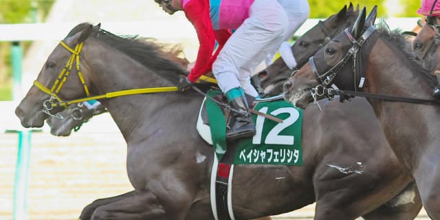 【キーンランドカップ予想2018】コース＆ローテがともに理想的な穴馬とは？