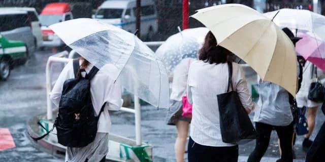 2021ユニコーンSのサインは“梅雨入り”！推奨穴馬1頭とは？
