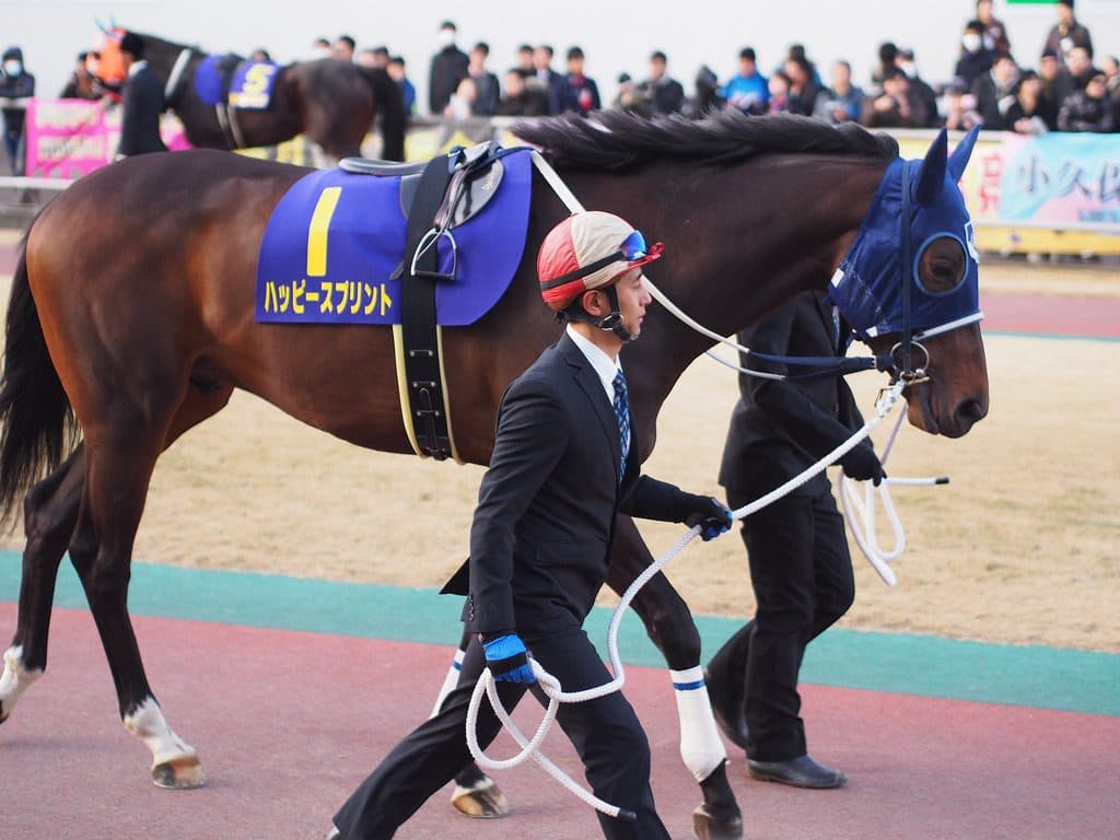 古豪ハッピースプリント、古巣北海道で復活Vも本調子はまだ先か