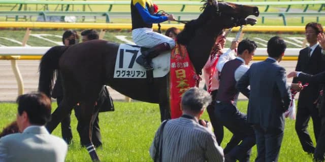 【神戸新聞杯2018予想】ワグネリアン、ひと夏越して体も一段と成長