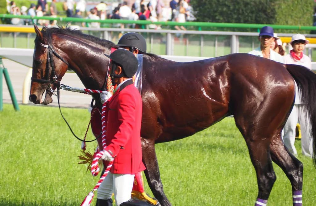 ワグネリアン、天皇賞秋を回避。神戸新聞杯の疲労抜けず