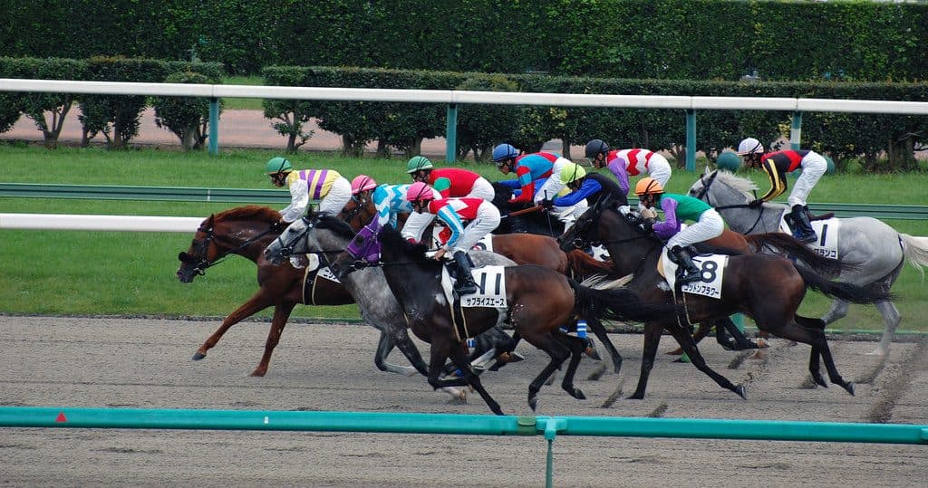 【ラジオ日本賞2018予想】ハイレベルなメンバーの集結したオープン戦