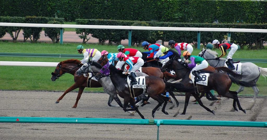 【ラジオ日本賞2018予想】ハイレベルなメンバーの集結したオープン戦