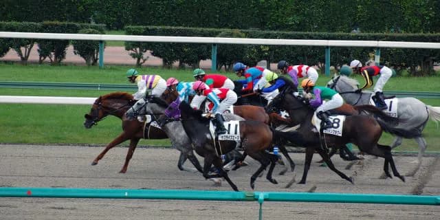 【ラジオ日本賞2018予想】ハイレベルなメンバーの集結したオープン戦